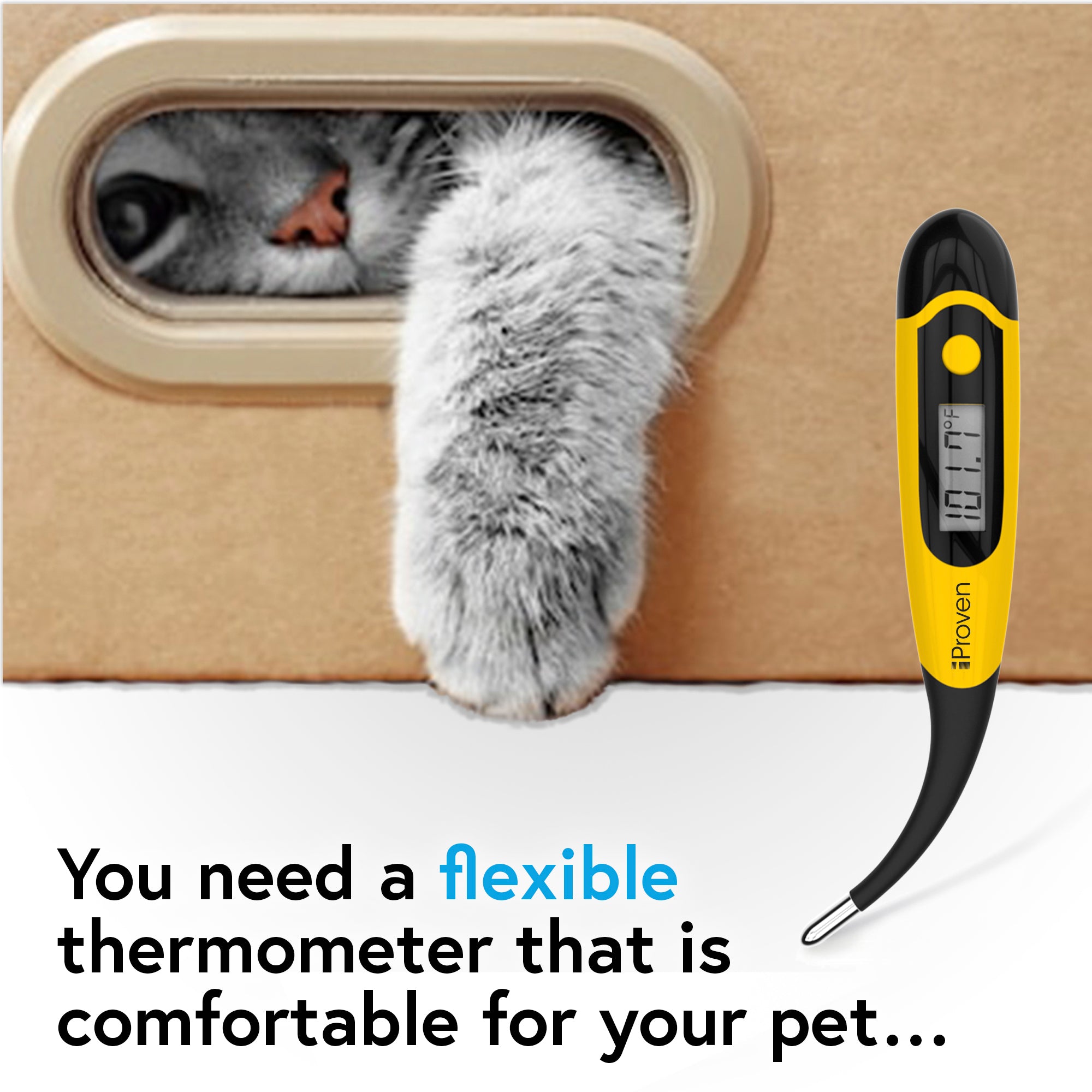 iproven-dt-k117y-tierthermometer-hund-katze-wasserdicht image 4