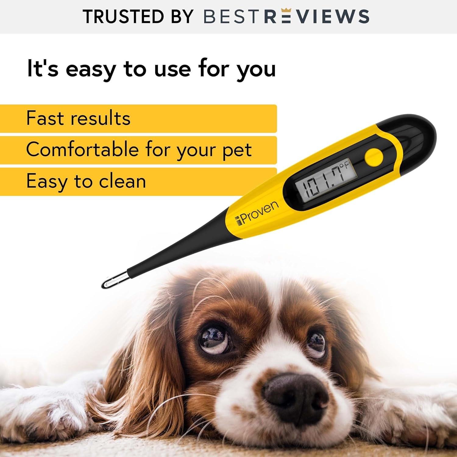 iproven-dt-k117y-tierthermometer-hund-katze-wasserdicht image 2